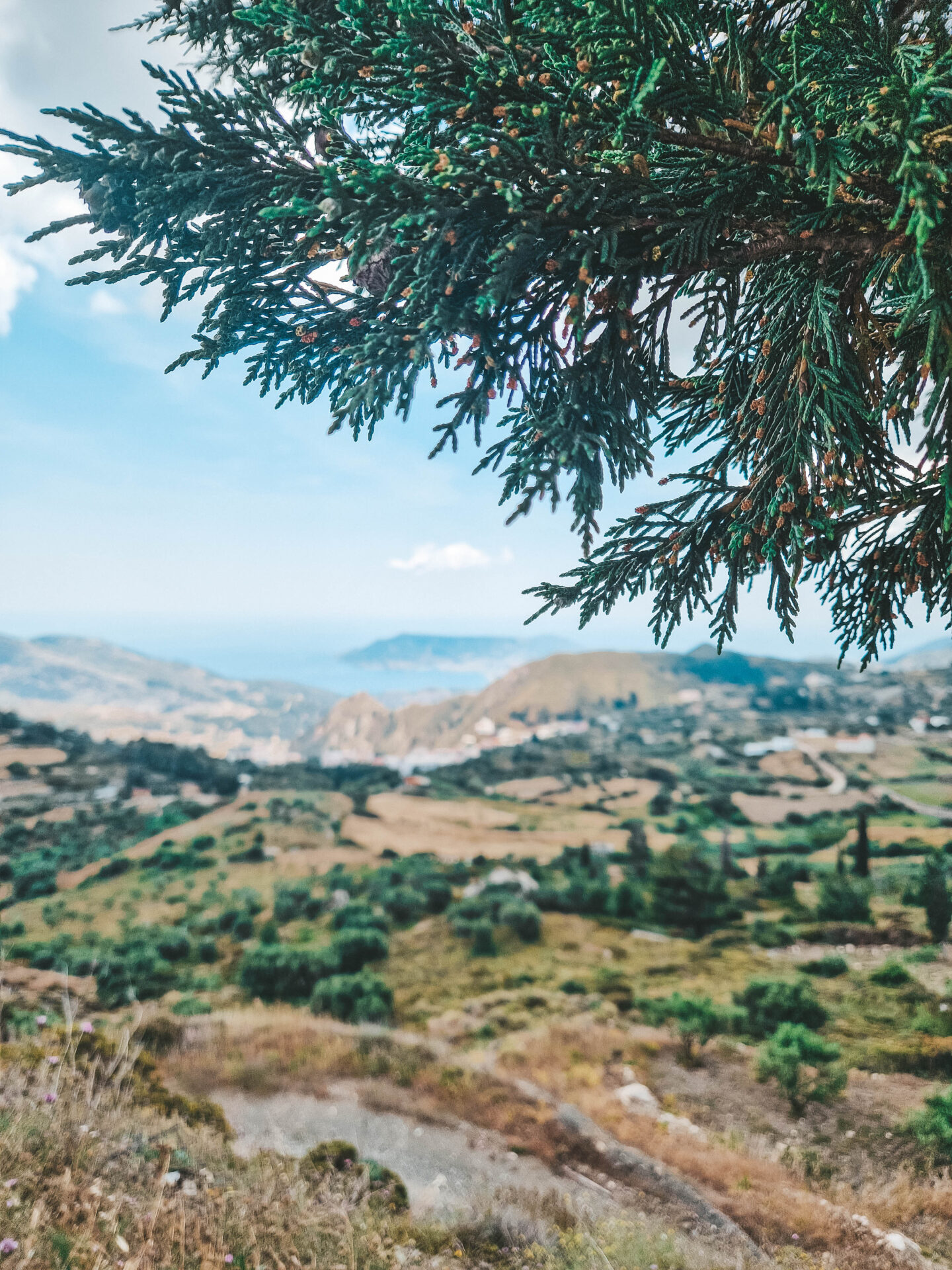 Uitzicht Karpathos-stad in de natuur. 