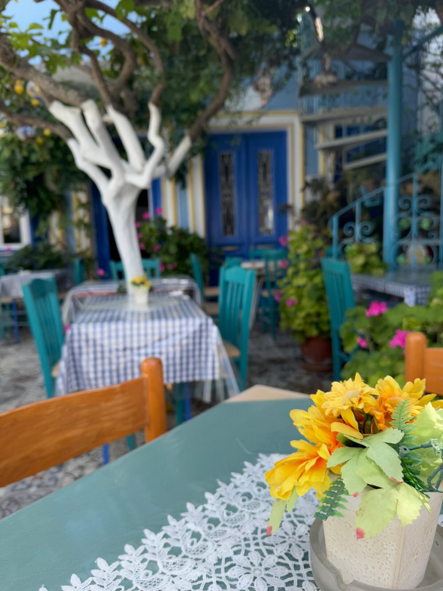Dionysos Fiesta restaurant Menetes Karpathos