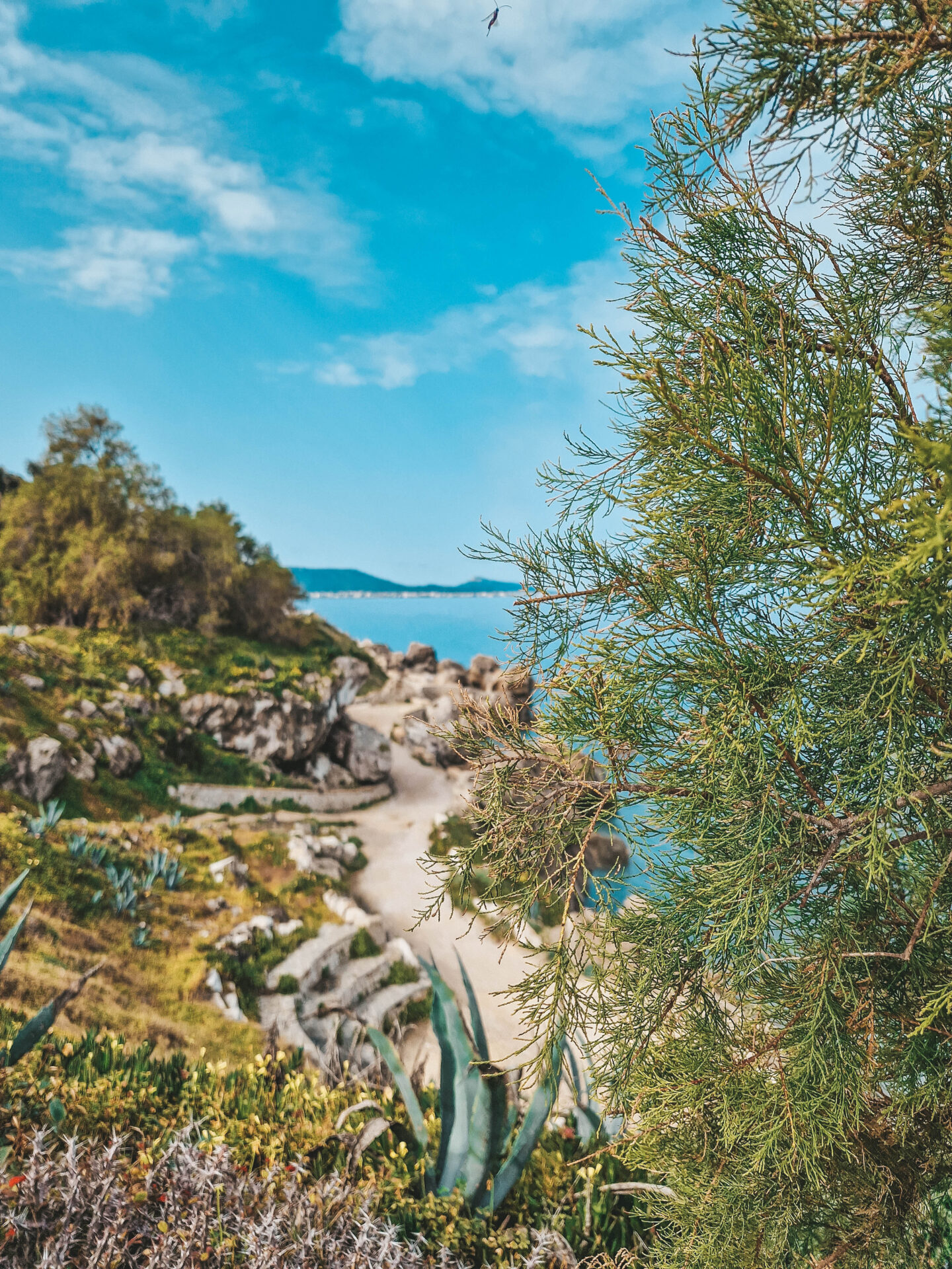 Eilandhoppen Rhodos Karpathos (3)