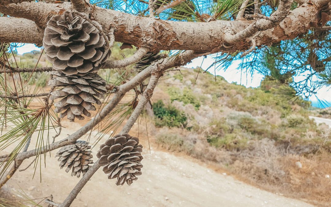 Reistips Griekenland | Dit moet je weten voor je er heen gaat