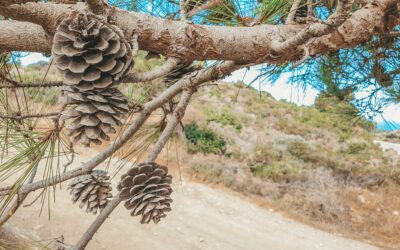 Reistips Griekenland | Dit moet je weten voor je er heen gaat