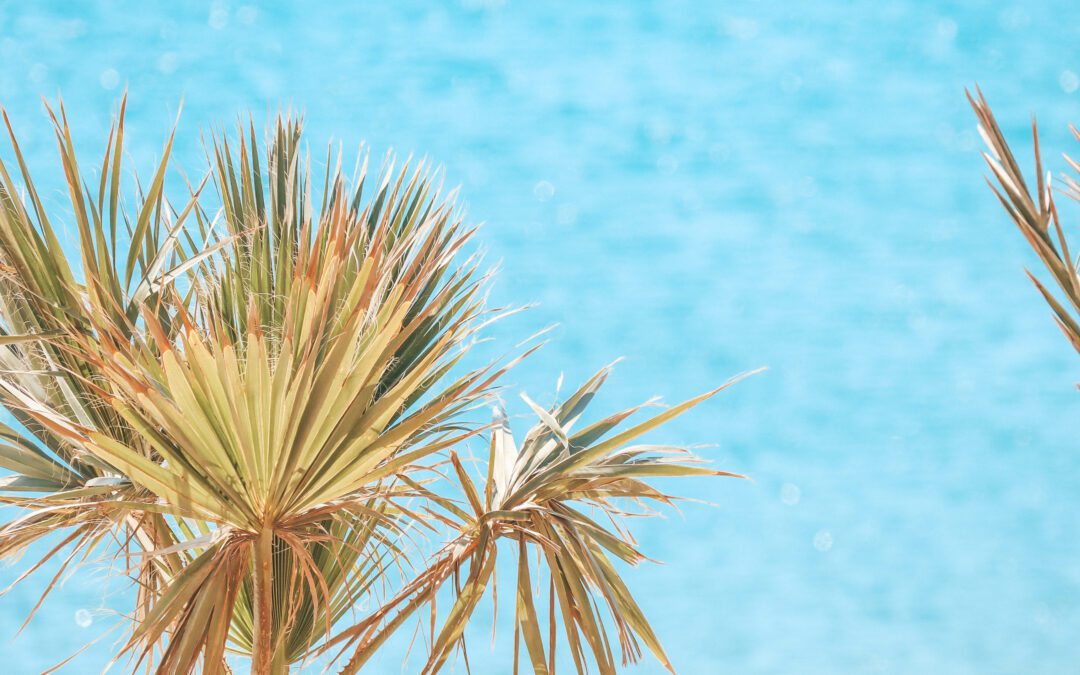 Mag je zomaar je vakantiehuis in het buitenland verhuren?