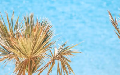 Mag je zomaar je vakantiehuis in het buitenland verhuren?