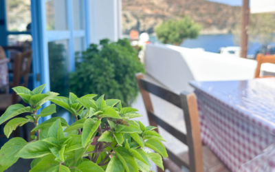 Porto Bello Spoa | Geniet van Griekse & Italiaanse cuisine op Karpathos