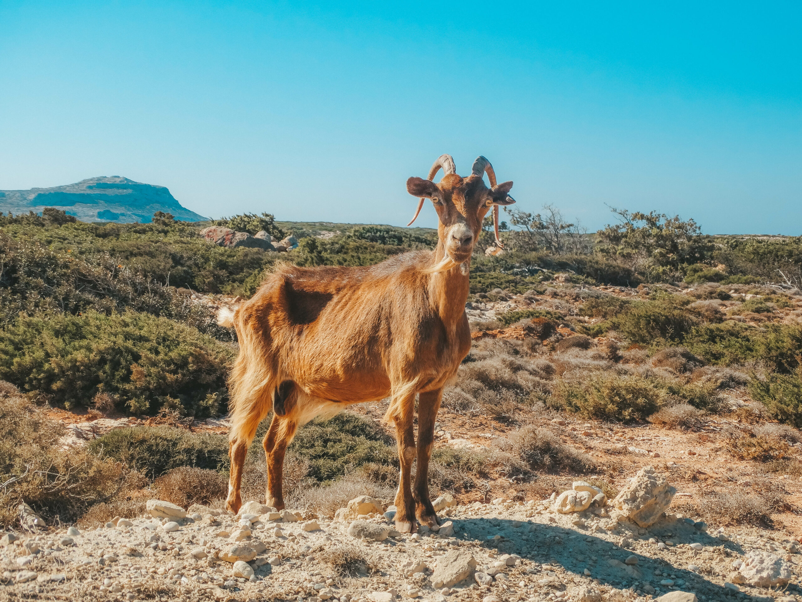 
Profitis Ilias Wandeling Karpathos