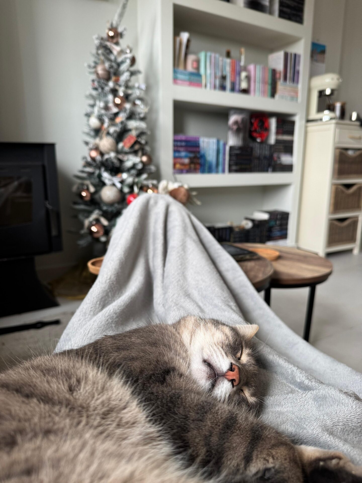 Kerstboom in huis op Karpathos, Griekenland