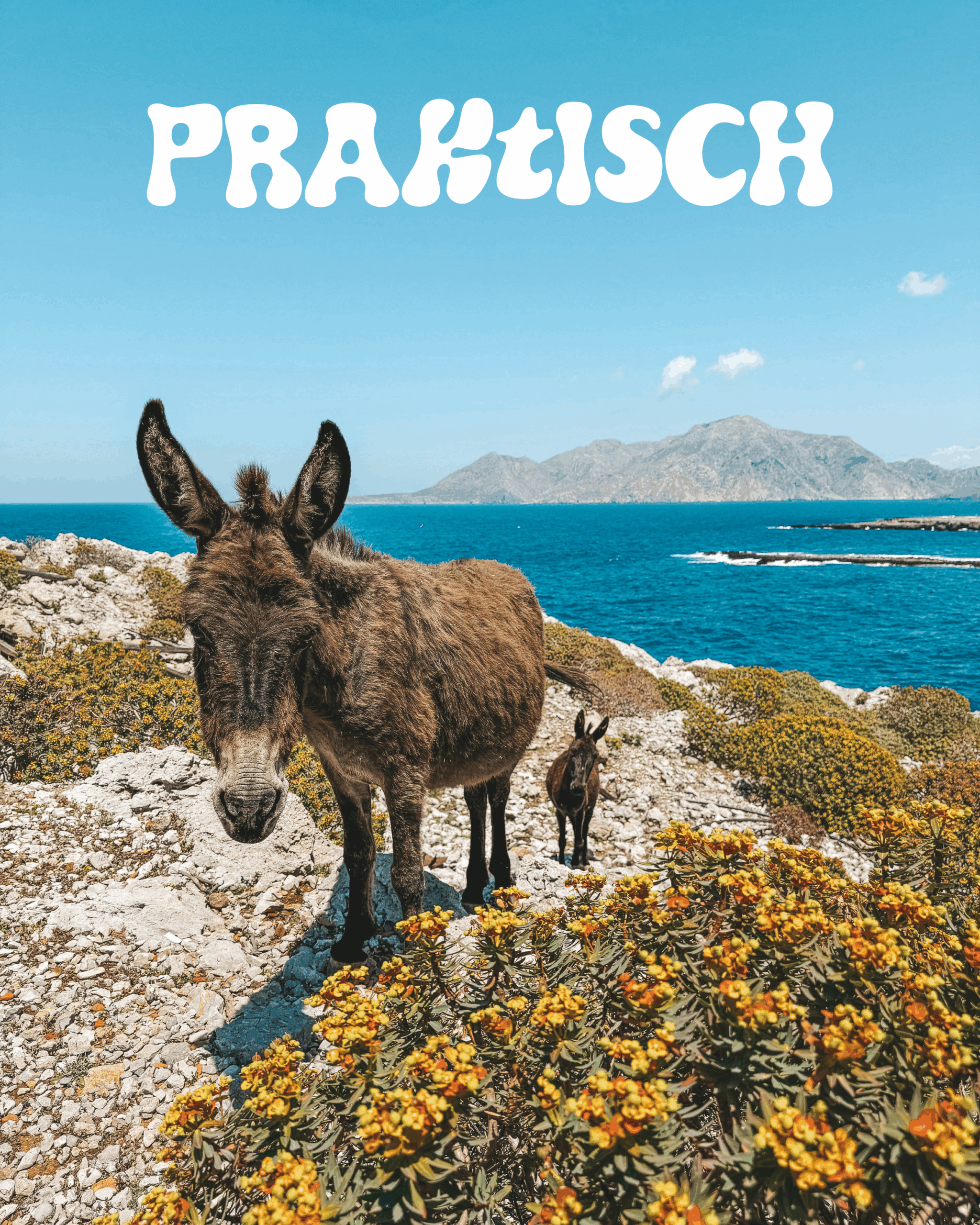 Poseidon Blue Afiartis Karpathos Damatria (8)